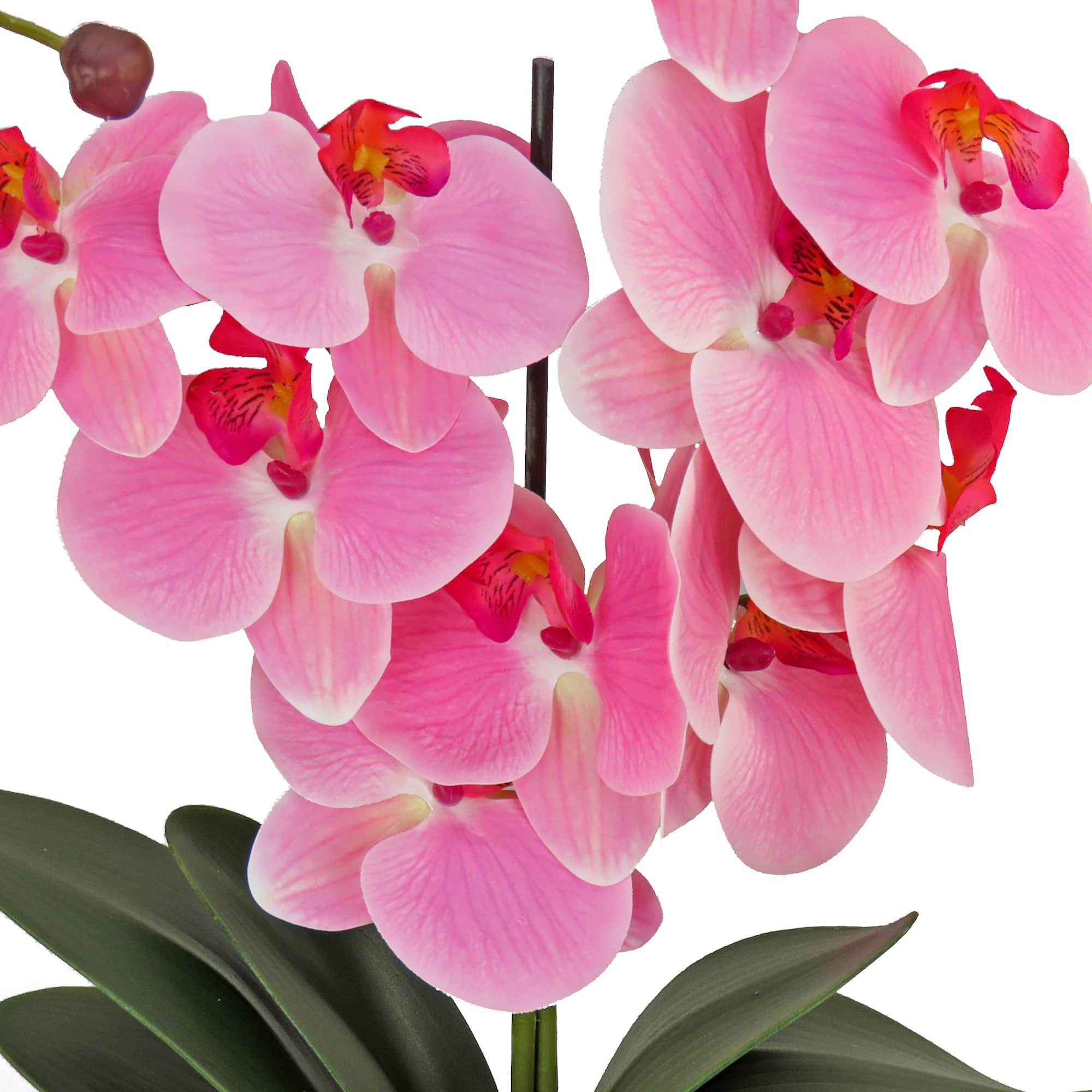 21" Pink Orchid Flower In White Basket